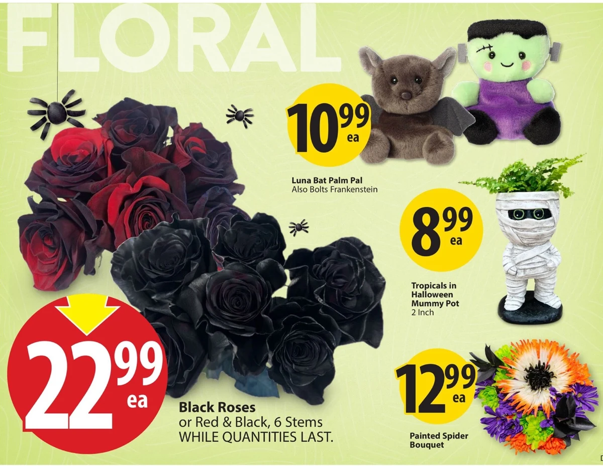 Save on Foods Flyer October 23 to October 29, 2025 4 – saveonfoods flyer 23 29 05