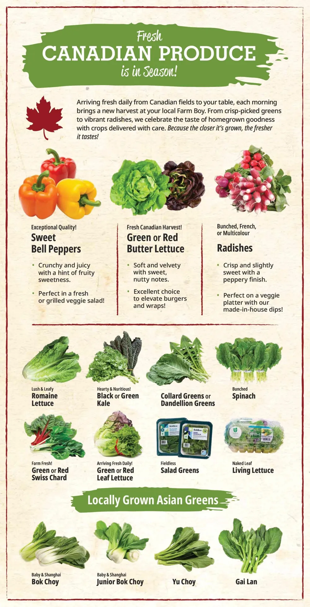 Farm Boy Flyer July 23 - 29, 2026 - Image 1 June 18 - 24