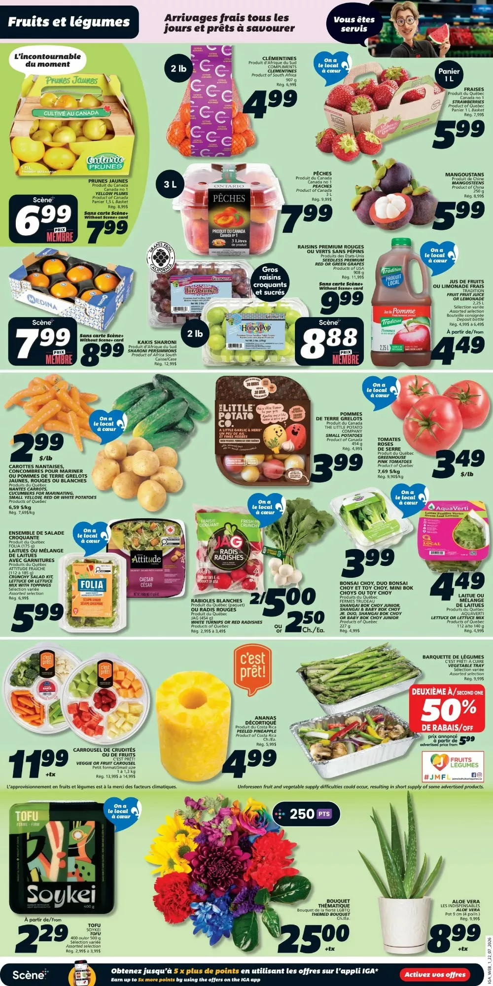 Iga Flyer July 23 - 29, 2026 - Image 1 July 23 - 29
