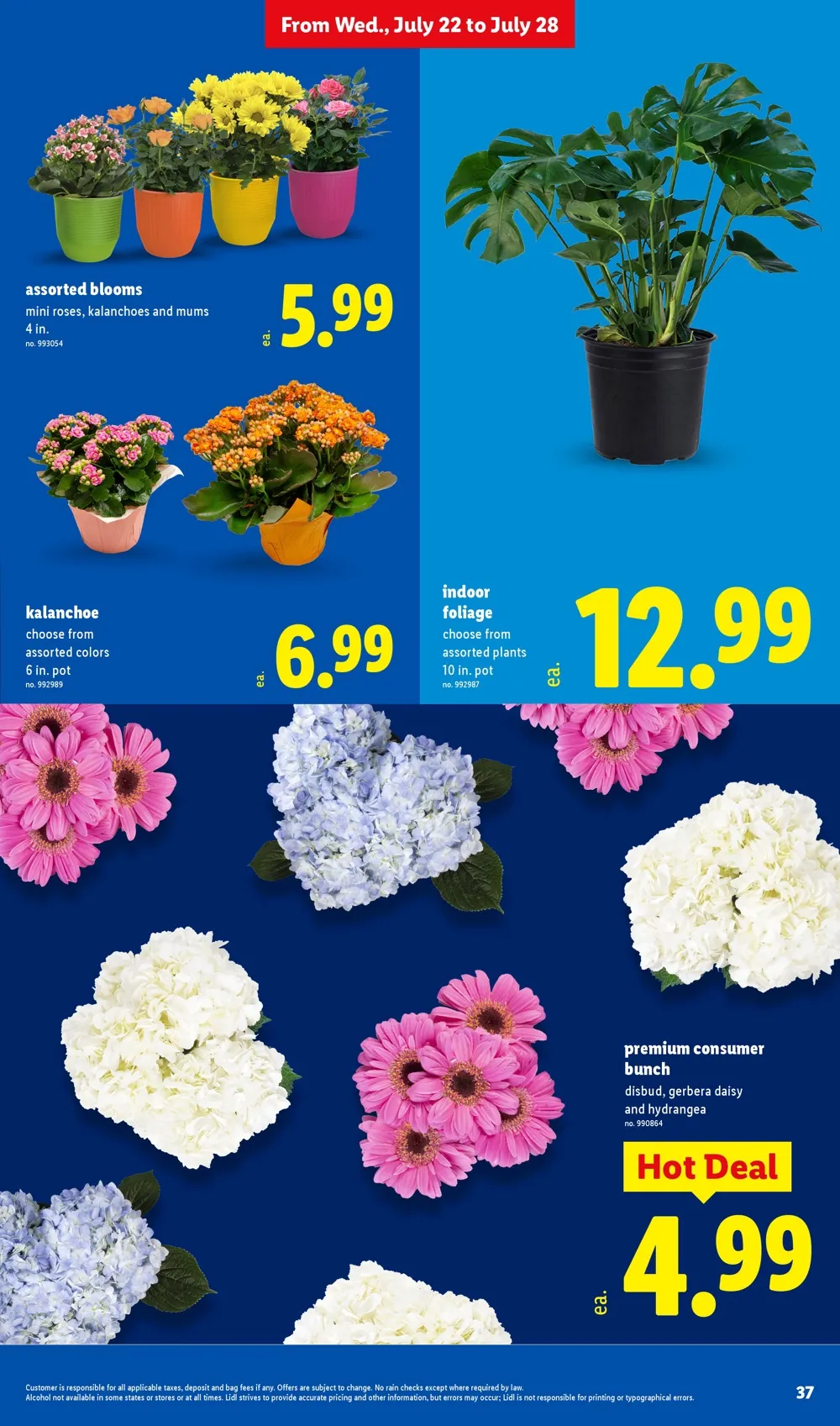 Lidl Weekly Ad Deals July 22 - 28, 2026 - Image 1 July 22 - 28